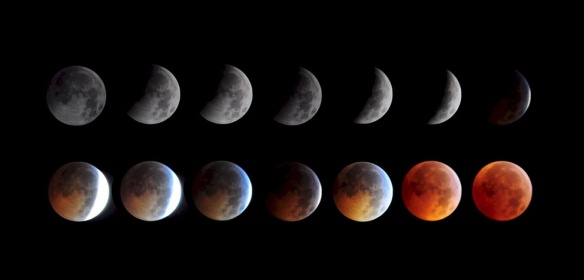 Lunar Eclipse by Keith Burns - courtesy NASA